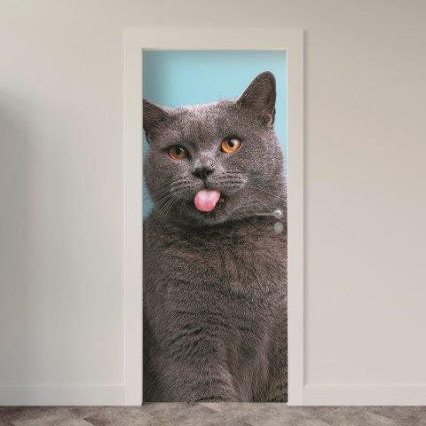 Adesivo de Porta Gatos