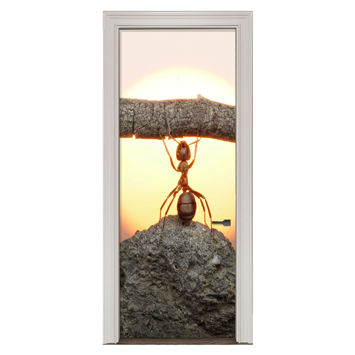 Adesivo de Porta Formiga Cod.15