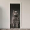 Adesivo de Porta Gatos