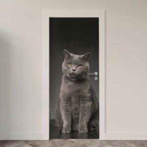150.jpg Adesivo de Porta Gatos