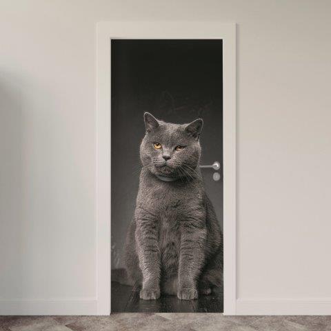Adesivo de Porta Gatos