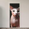 151.jpg Adesivo de Porta Gatos