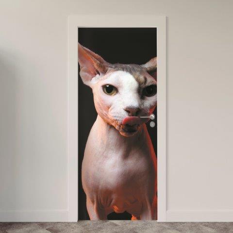 Adesivo de Porta Gatos