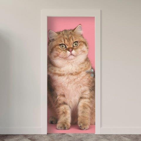 Adesivo de Porta Gatos