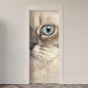 154.jpg Adesivo de Porta Gatos
