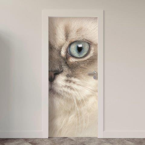 154.jpg Adesivo de Porta Gatos