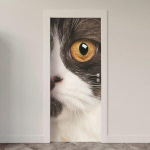 155.jpg Adesivo de Porta Gatos