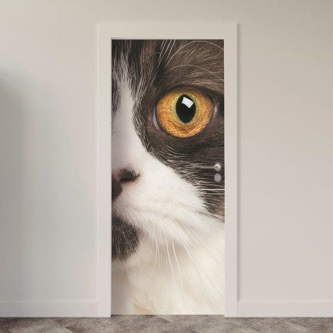 155.jpg Adesivo de Porta Gatos