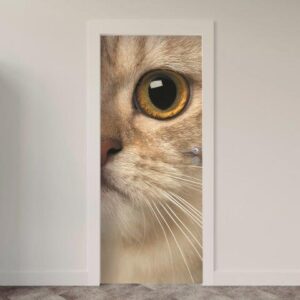 156.jpg Adesivo de Porta Gatos