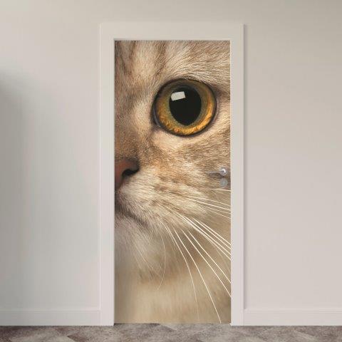 156.jpg Adesivo de Porta Gatos