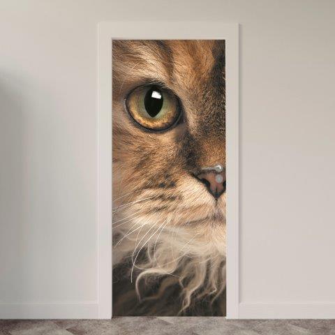 158.jpg Adesivo de Porta Gatos