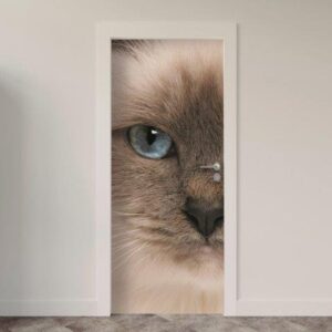 159.jpg Adesivo de Porta Gatos