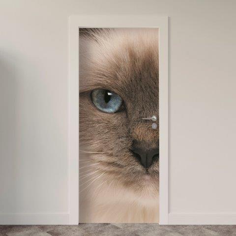 Adesivo de Porta Gatos