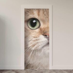 160.jpg Adesivo de Porta Gatos