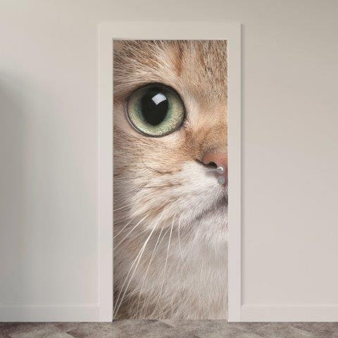 160.jpg Adesivo de Porta Gatos