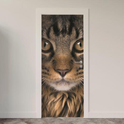162.jpg Adesivo de Porta Gatos
