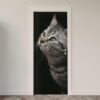 163.jpg Adesivo de Porta Gatos
