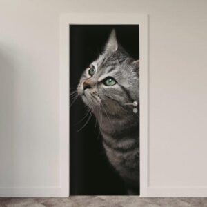 163.jpg Adesivo de Porta Gatos