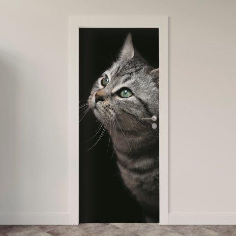 163.jpg Adesivo de Porta Gatos