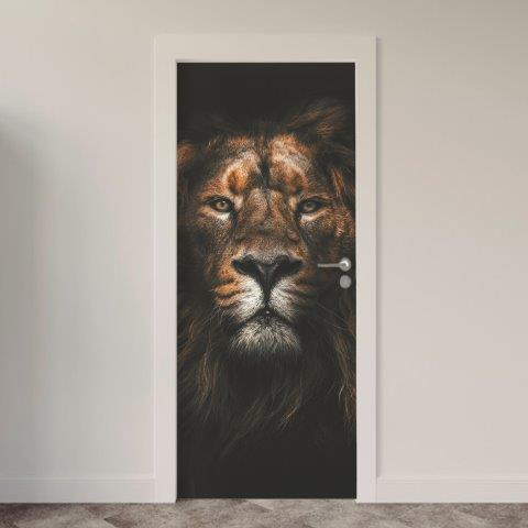 Adesivo de Porta Leão