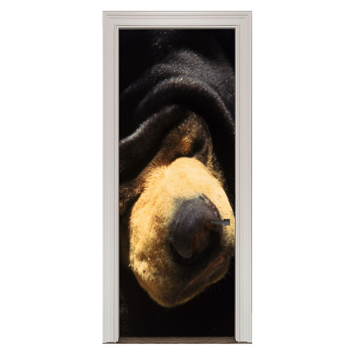 Adesivo de Porta Urso Cod.18