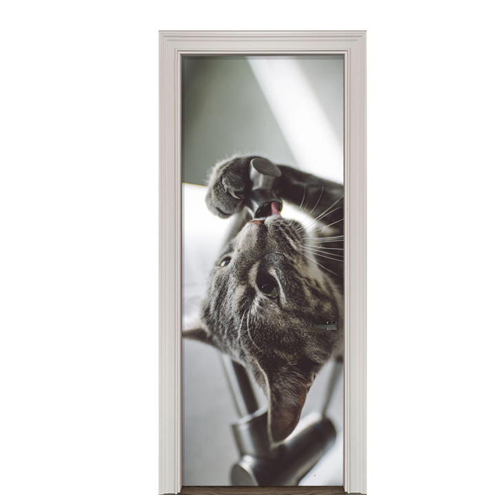 Adesivo de Porta Gato Cod.2
