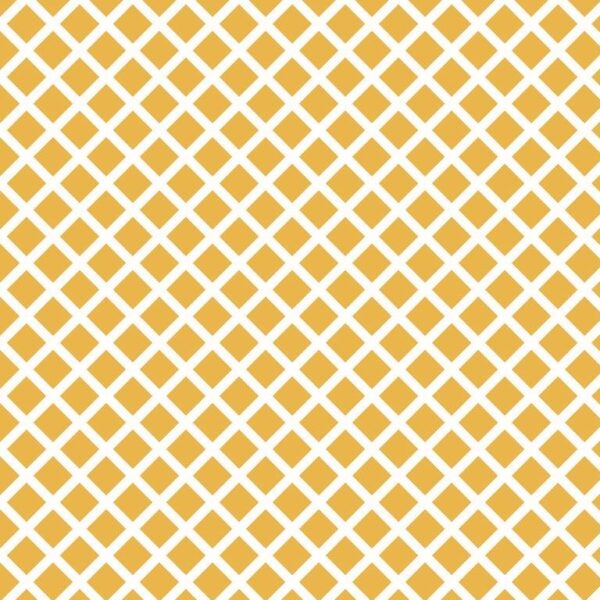 Papel de Parede Bebês Cores & Formas