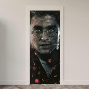 20-4.jpg Adesivo de Porta Cinema Harry Potter