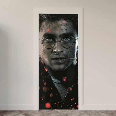 Adesivo de Porta Cinema Harry Potter