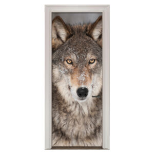 27.jpg Adesivo de Porta Lobo Cod.27