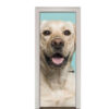 3.jpg Adesivo de Porta Cachorro Labrador
