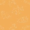 3-44.jpg Papel de Parede Baby Constelação Animal Laranja