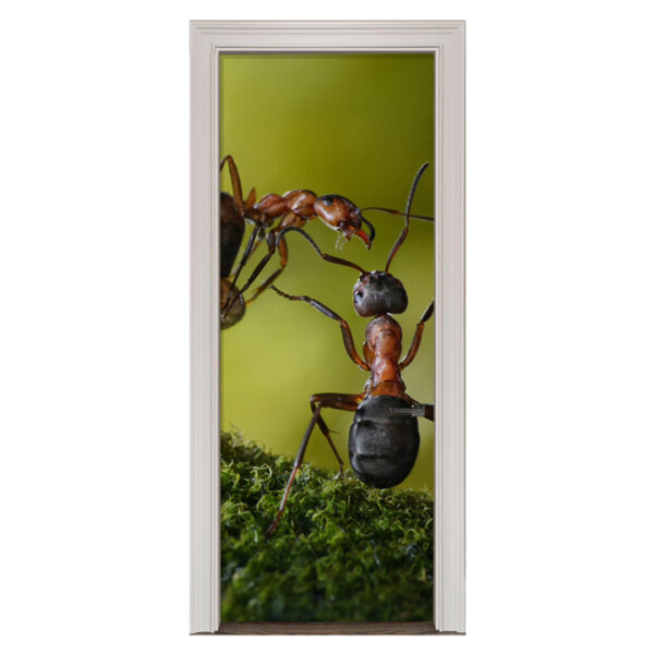 Adesivo de Porta Formiga Cod.34