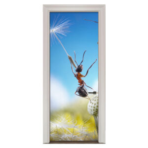 35.jpg Adesivo de Porta Formiga Cod.35