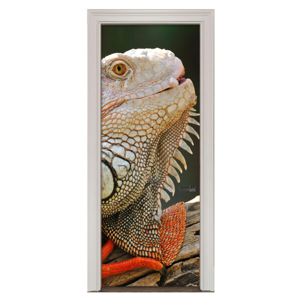 Adesivo de Porta Réptil Lagarto Cod.36