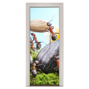 37.jpg Adesivo de Porta Formigas Cod.37