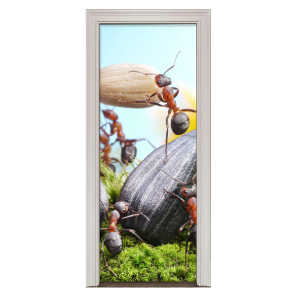 37.jpg Adesivo de Porta Formigas Cod.37
