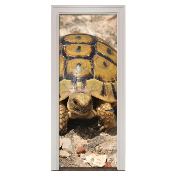 40.jpg Adesivo de Porta Tartaruga Cod.40
