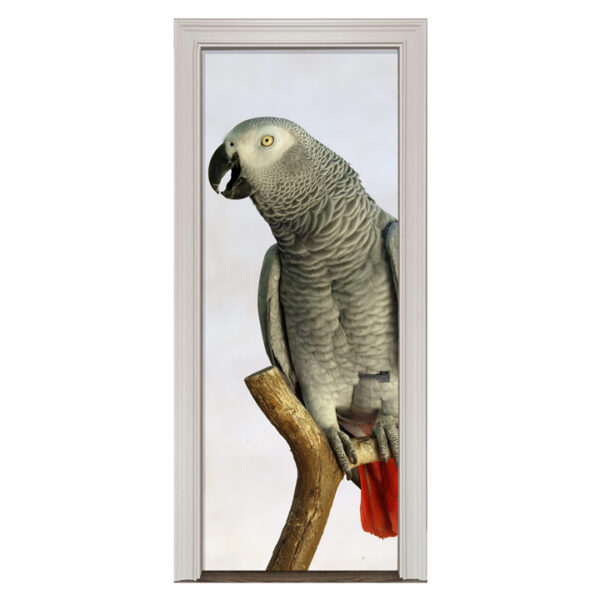 41.jpg Adesivo de Porta Papagaio