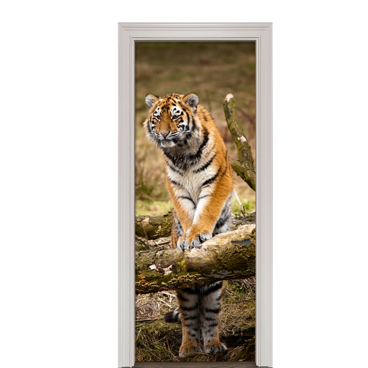 Adesivo de Porta Tigre Cod.5