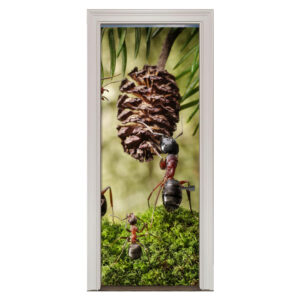 50.jpg Adesivo de Porta Formigas Cod.50