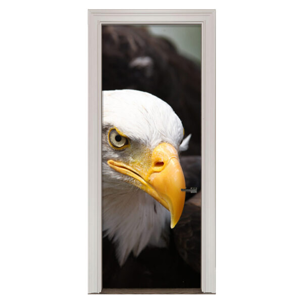 Adesivo de Porta Águia