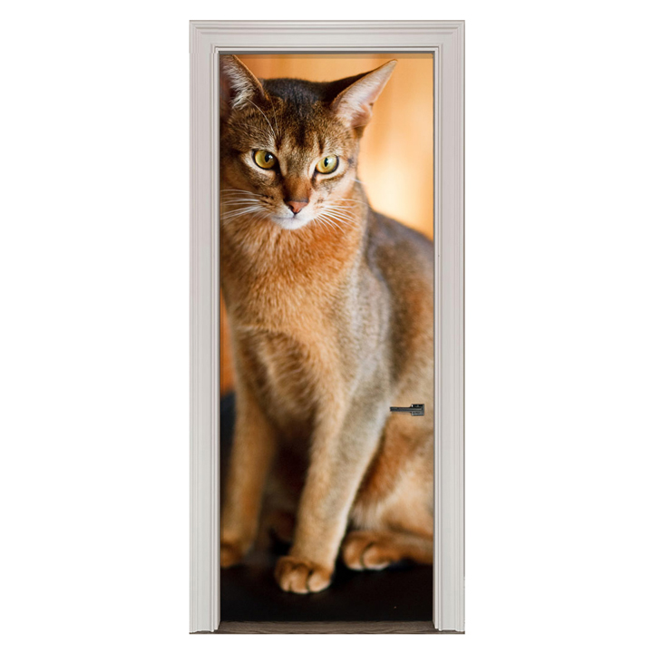 Adesivo de Porta Gato Cod.62