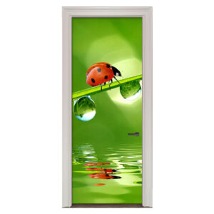Adesivo de Porta Joaninha Cod.65