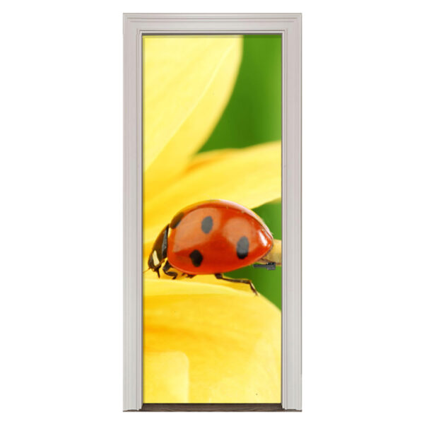 66.jpg Adesivo de Porta Joaninha Cod.66