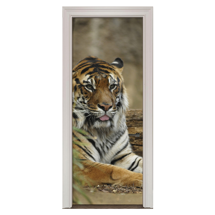 Adesivo de Porta Tigre Cod.67