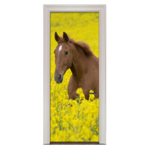 Adesivo de Porta Cavalo Cod.69