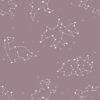 Papel de Parede Baby Constelação Animal Roxo