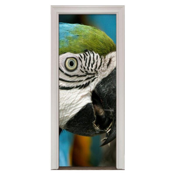 72.jpg Adesivo de Porta Aves Arara Cod.72