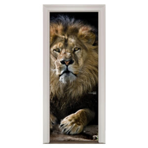 75.jpg Adesivo de Porta Leão Cod.75